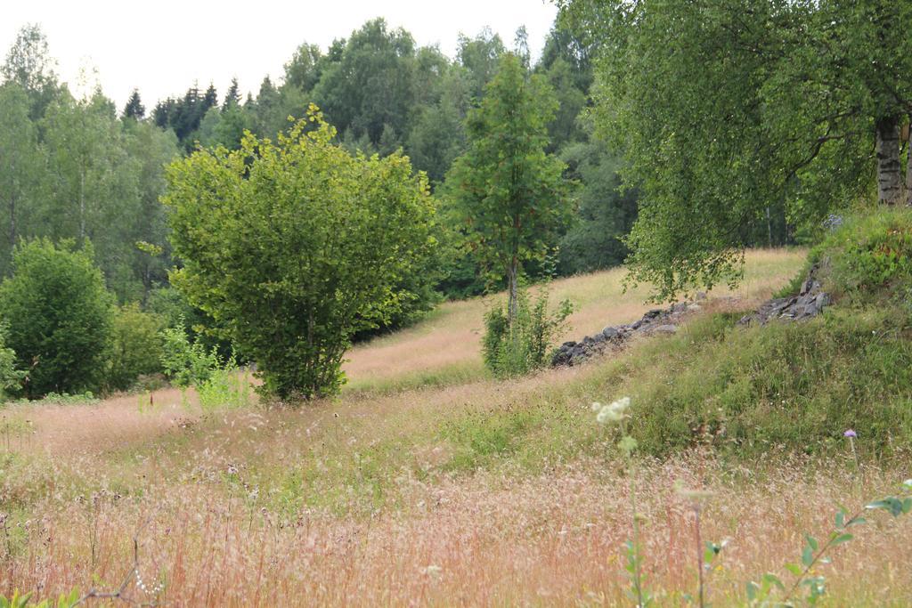 Loevas Gard Koppera Apartment Charlottenberg Bagian luar foto