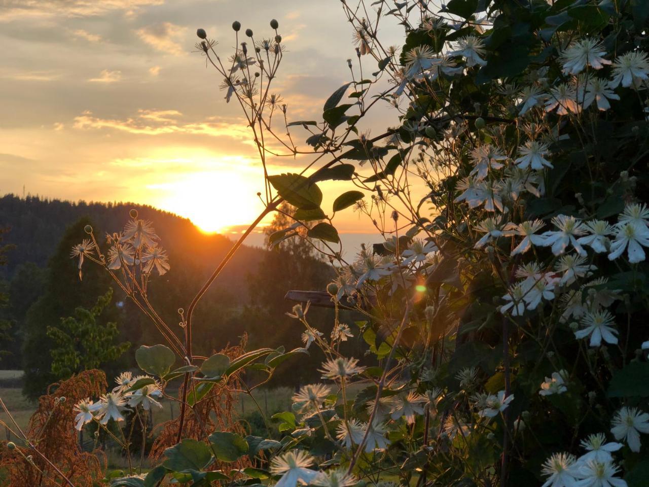 Loevas Gard Koppera Apartment Charlottenberg Bagian luar foto